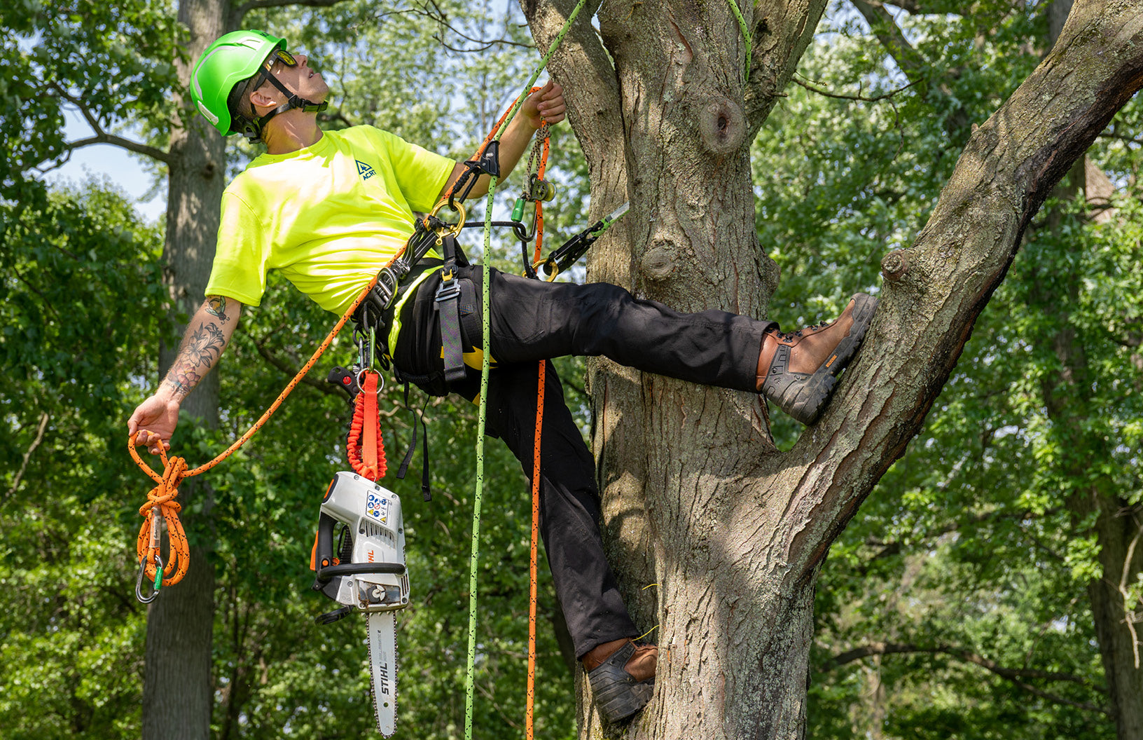 Chainsaw Safety & Maintenance Handbook ACRT Arborist Training