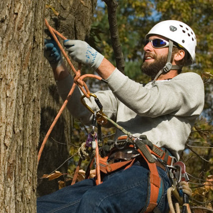 Basic Arborist – ACRT Arborist Training